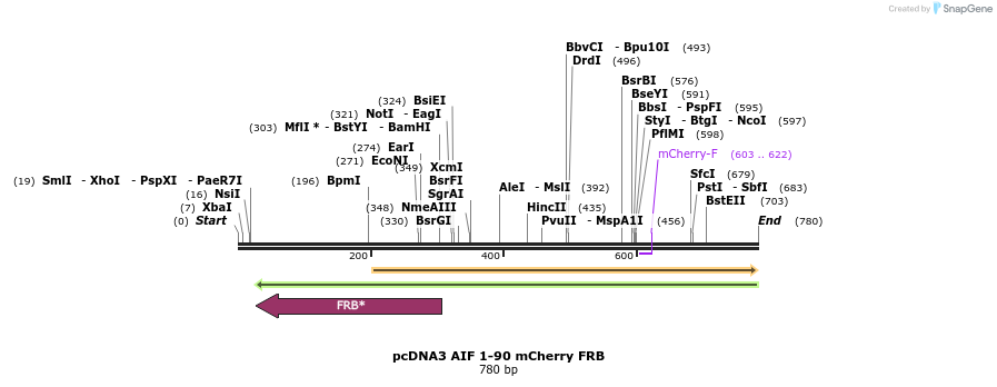 121115_map