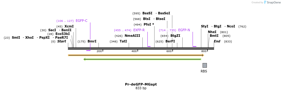 121116_map