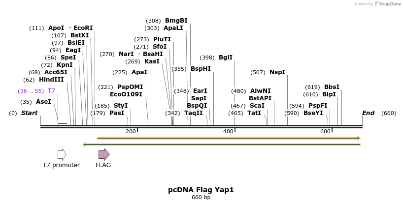 121117_map