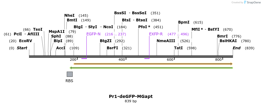 121119_map