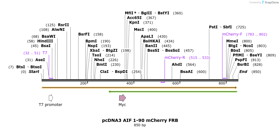 121122_map