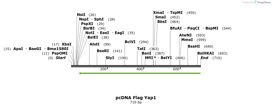 121123_map