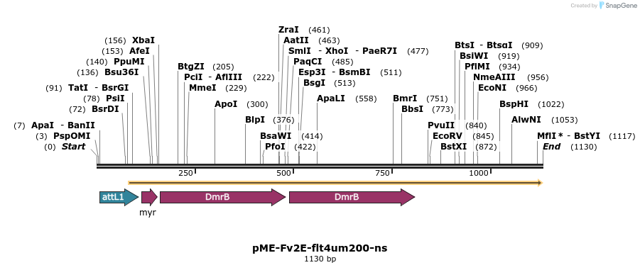 121124_map