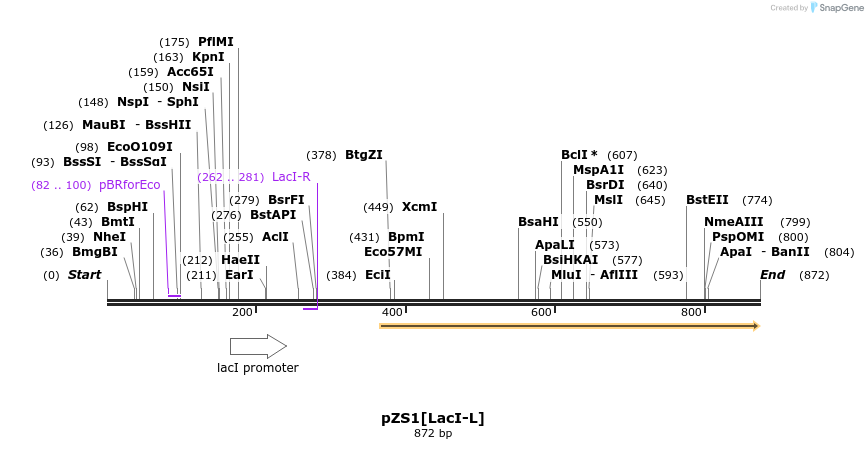 121130_map