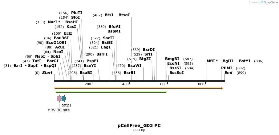 121132_map