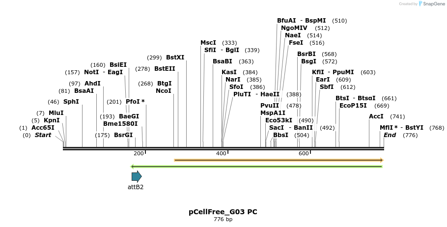 121133_map