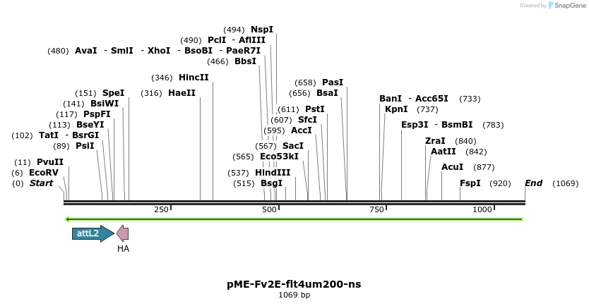 121134_map