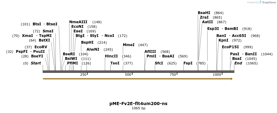 121138_map