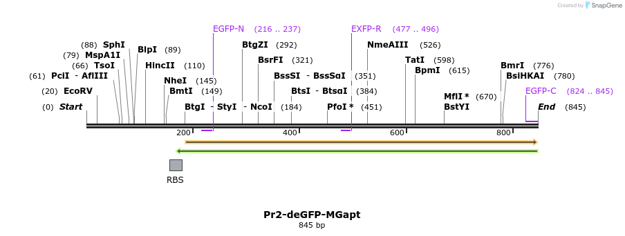 121139_map