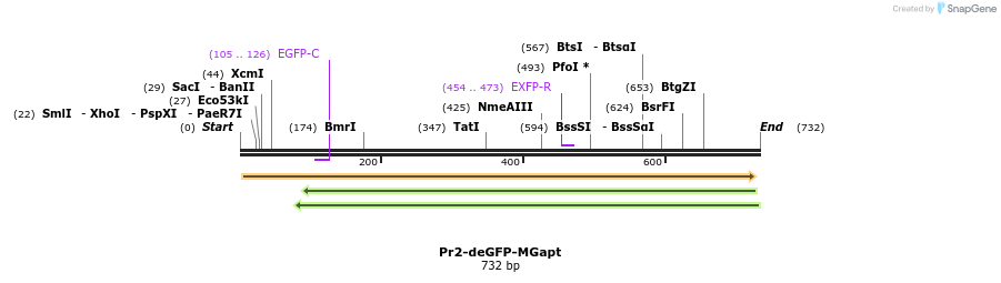 121143_map