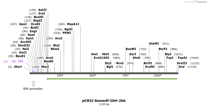 121144_map