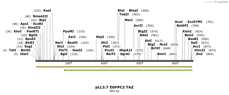 121147_map