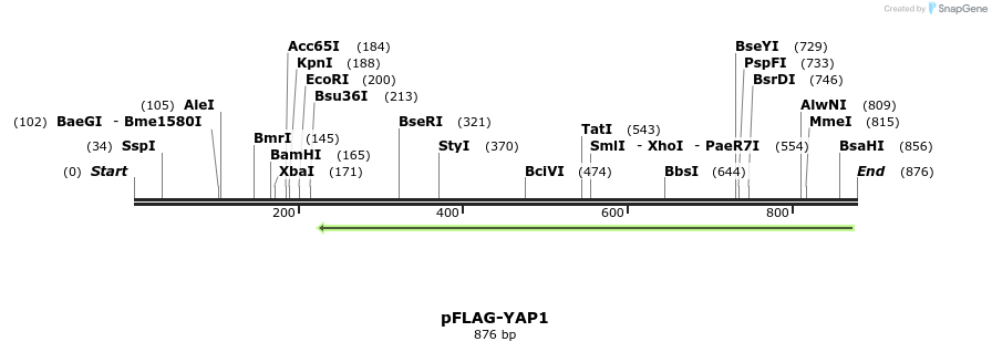 121148_map