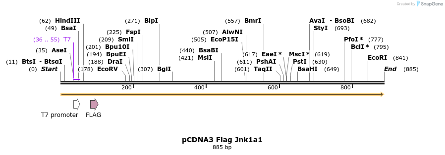 121149_map