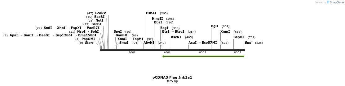 121150_map