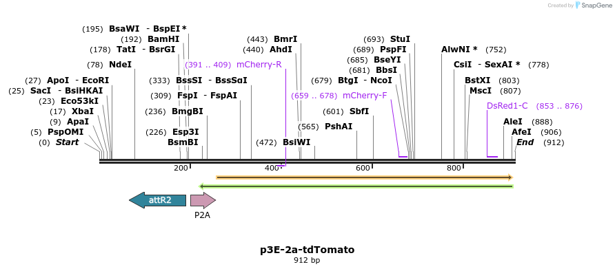 121151_map