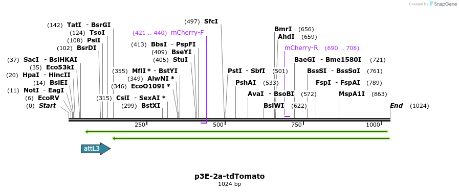 121152_map