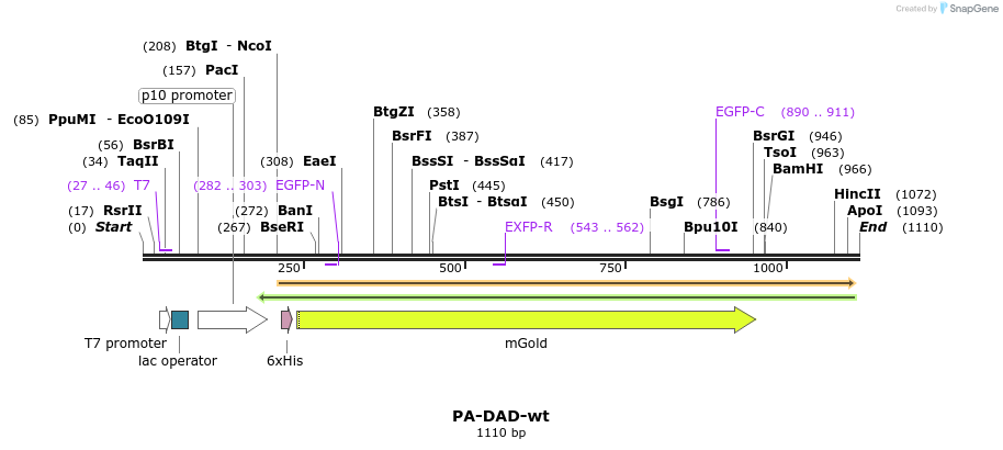 121154_map