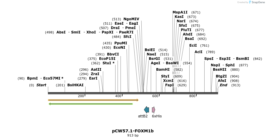 121168_map