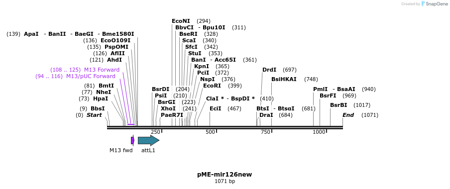 121171_map