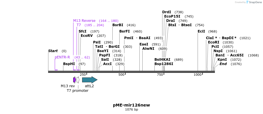 121173_map