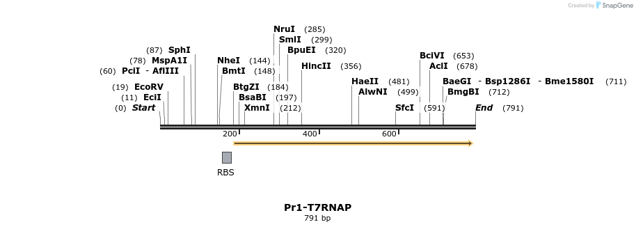 121179_map