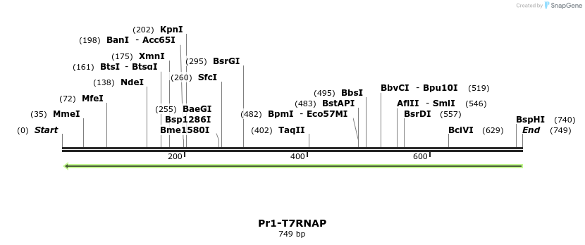 121180_map