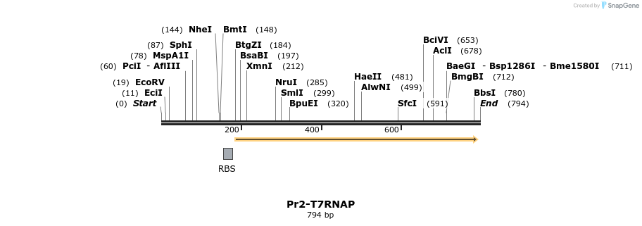 121182_map