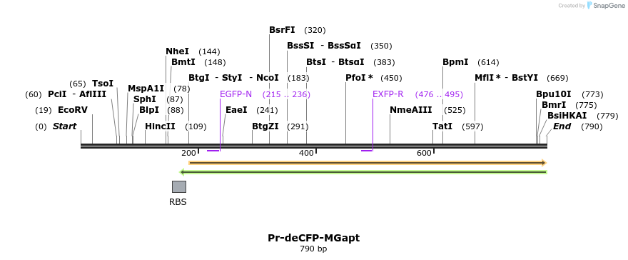 121183_map