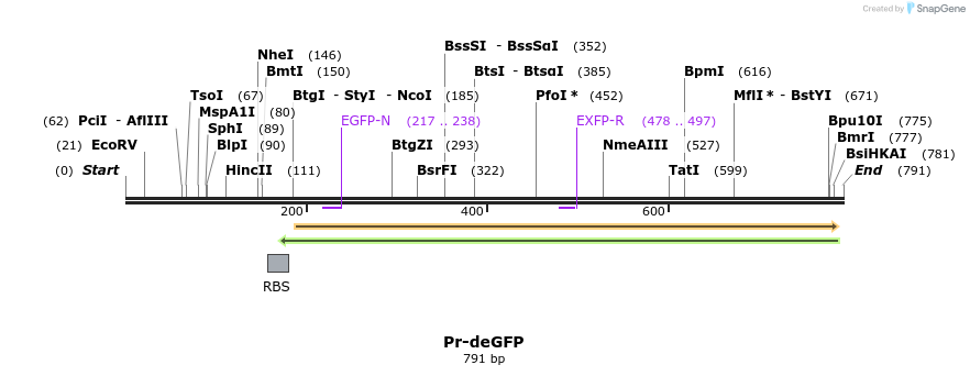 121186_map