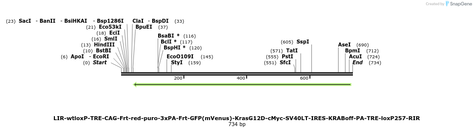 121187_map