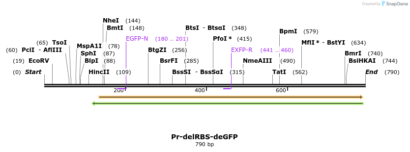 121190_map