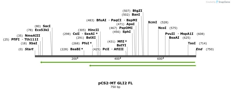 121196_map