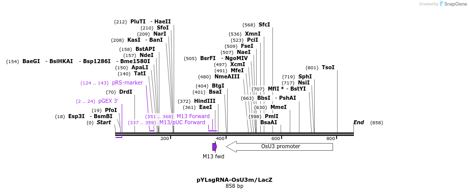 121197_map