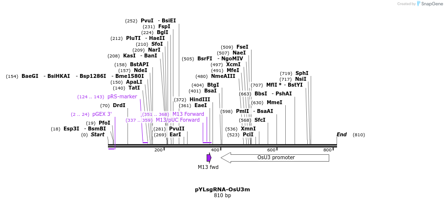 121198_map