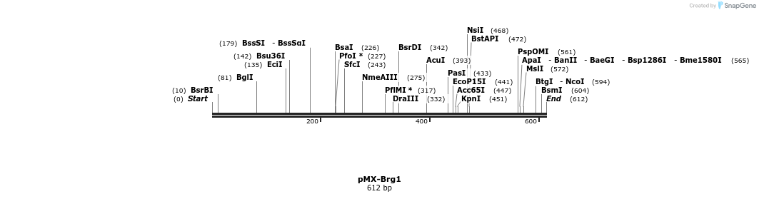 12120_map