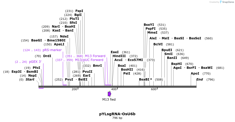 121201_map
