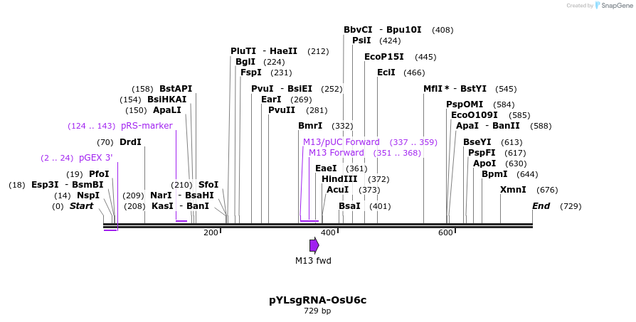121202_map