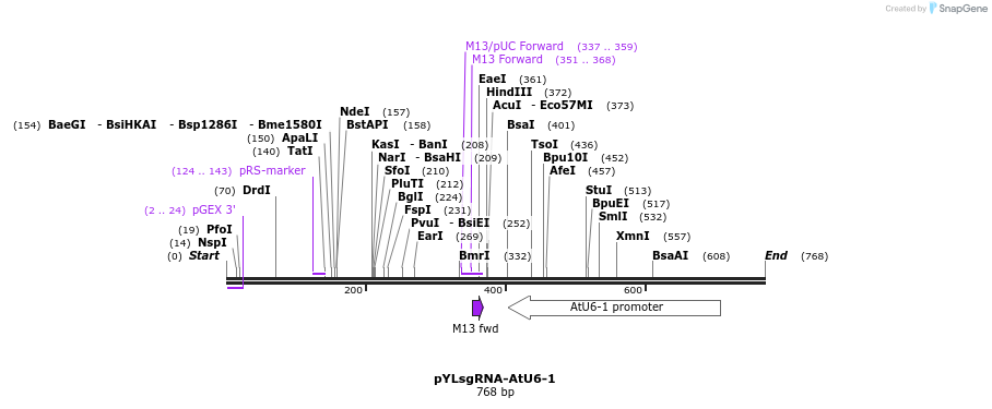 121207_map