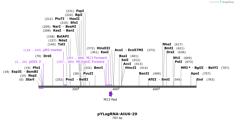 121208_map