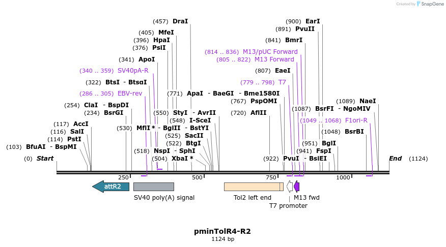 121209_map