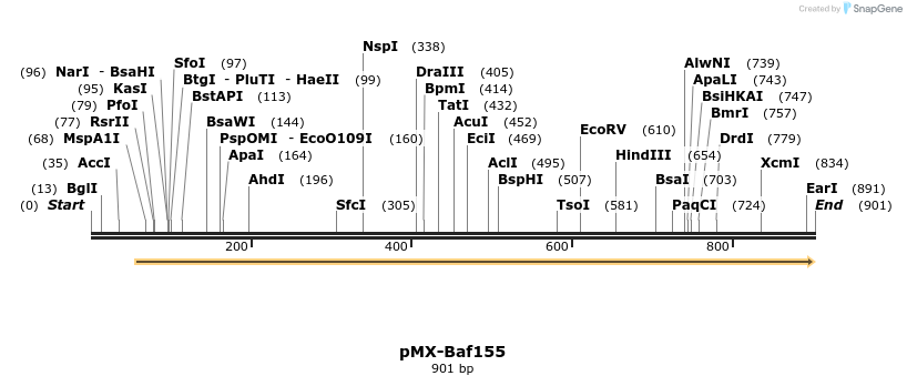 12121_map