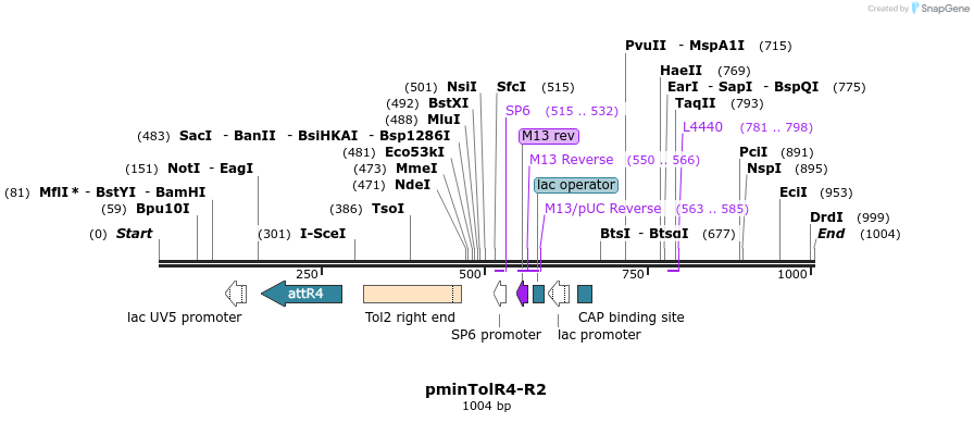 121210_map