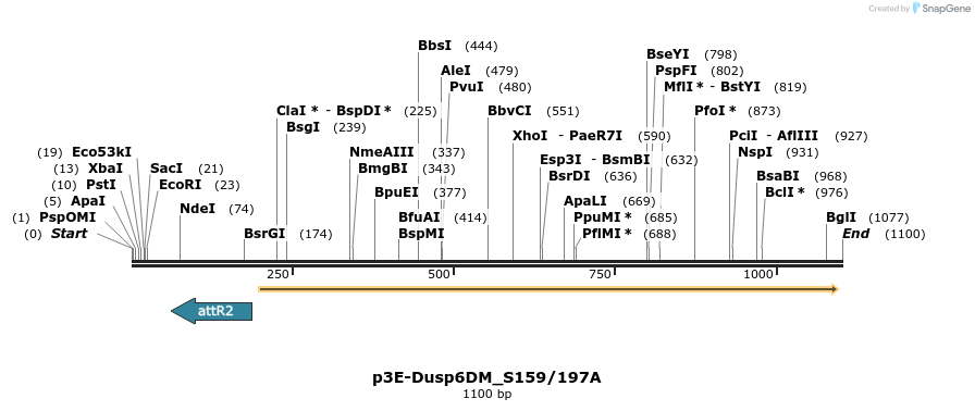 121212_map