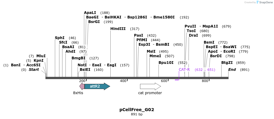 121214_map