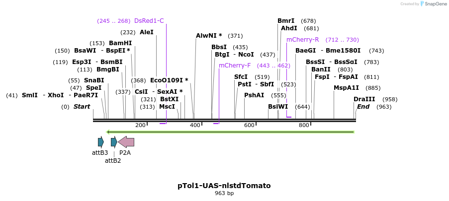 121216_map