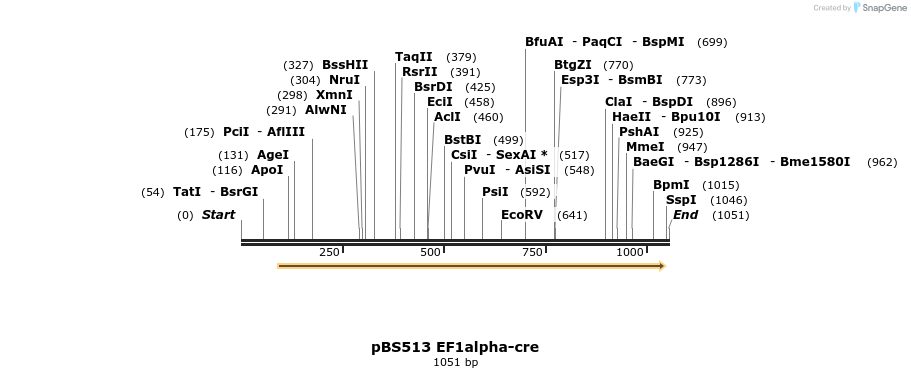 121220_map