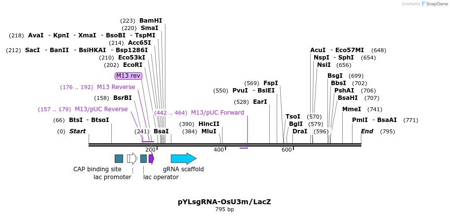 121231_map