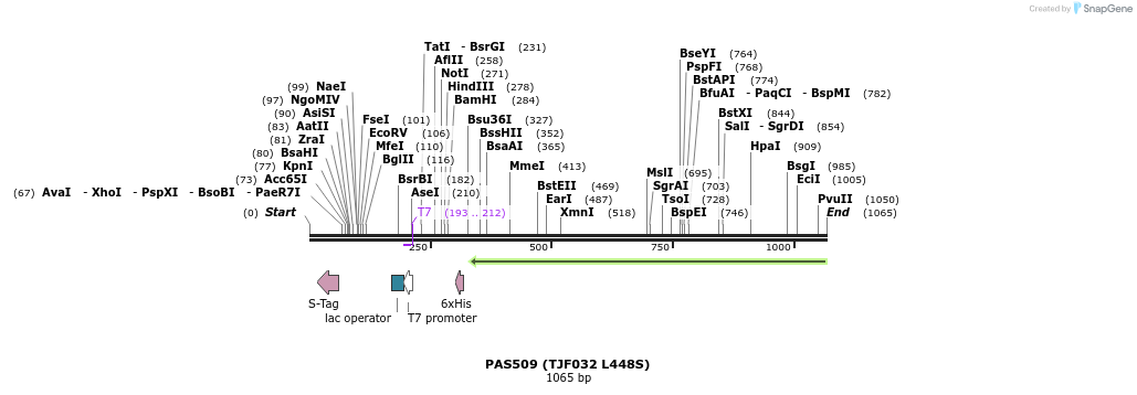121233_map