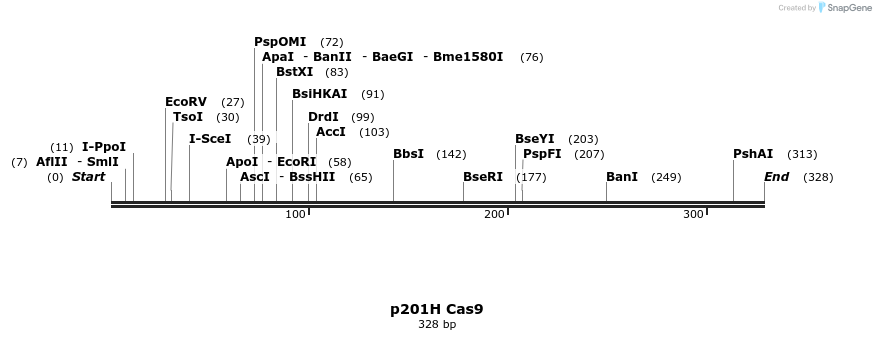 121239_map